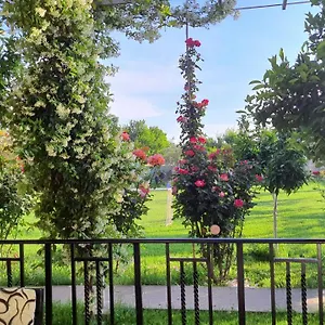 Séjour à la campagne With Private Garden, Shkodër